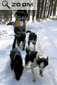 Finlande 2004 et 2005