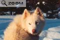 Quebec-2001