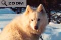 Quebec-2001