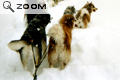 Quebec-2002