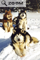 Quebec-2002