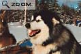 Quebec-2002