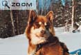 Quebec-2002