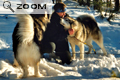 Quebec-2003