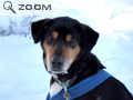 Yukon-2006
