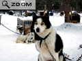 Yukon-2006