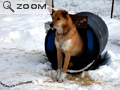 Yukon-2006