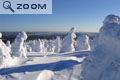 Mont Livaara