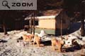 Premiere cabane