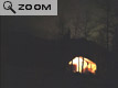 Camp de nuit